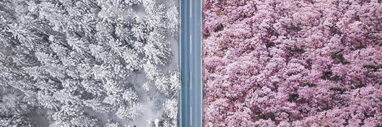 Jules Chapelle banner