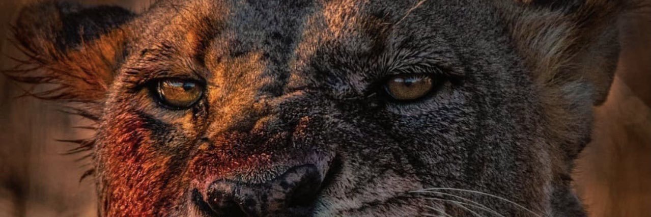 dwarfieldd's profile banner image