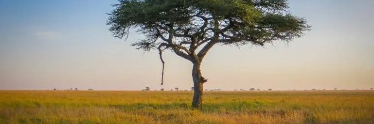 Supbroski07's profile banner image