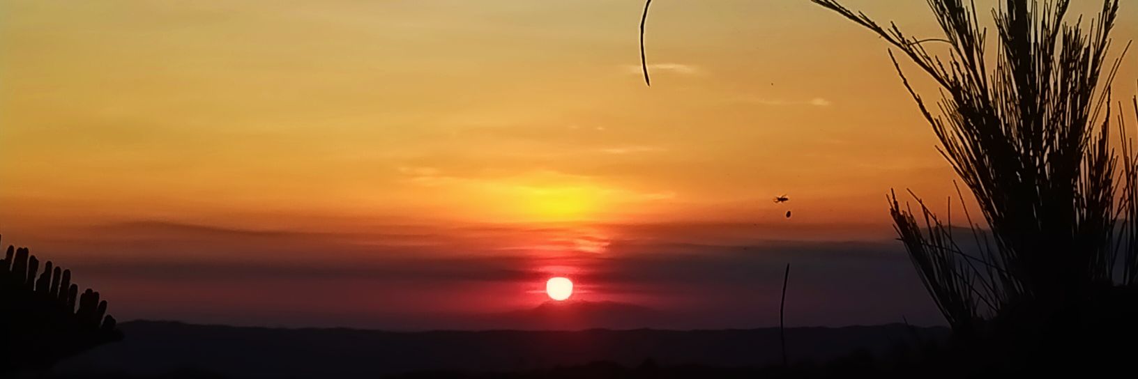 agnolasael22's profile banner image
