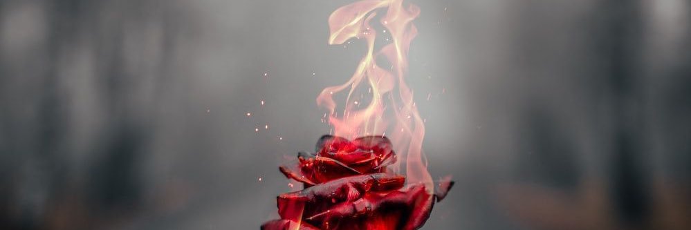 mattiizzo's profile banner image