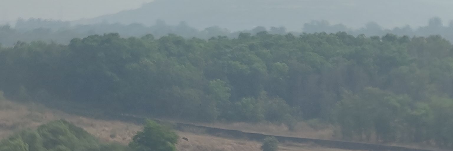 Nehal Dholakia banner