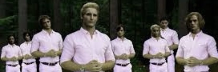 swisscheeeseee's profile banner image
