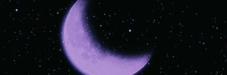 vivisnore's profile banner image