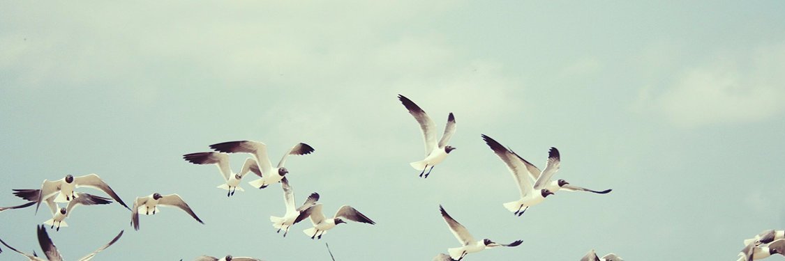 AnylaBeqa's profile banner image