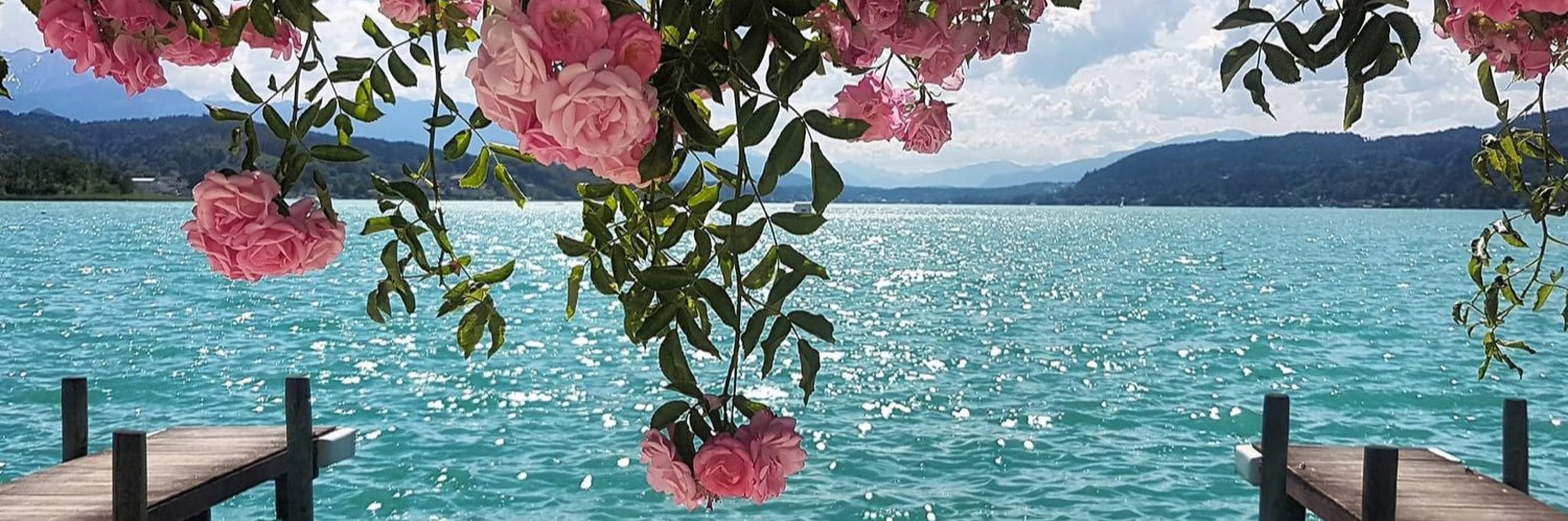 Msleli_'s profile banner image