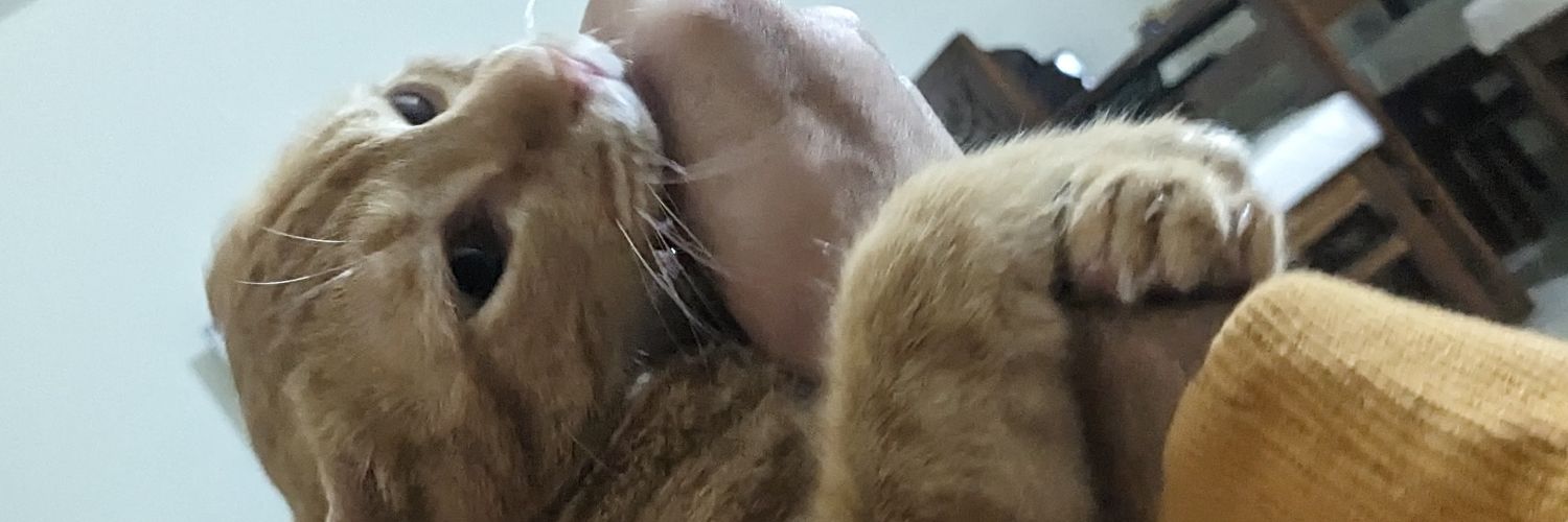 Split2ndInTime's profile banner image