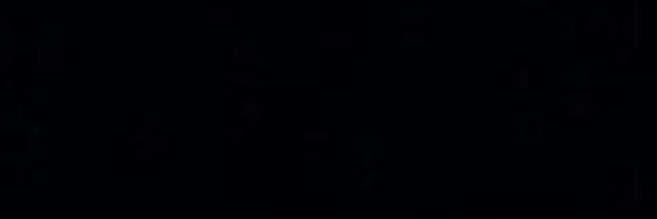 ALLCAPSBOOKS Profile Banner