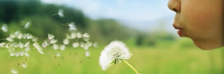 ⭐️✨💙CAMHS Network💙✨⭐️ banner