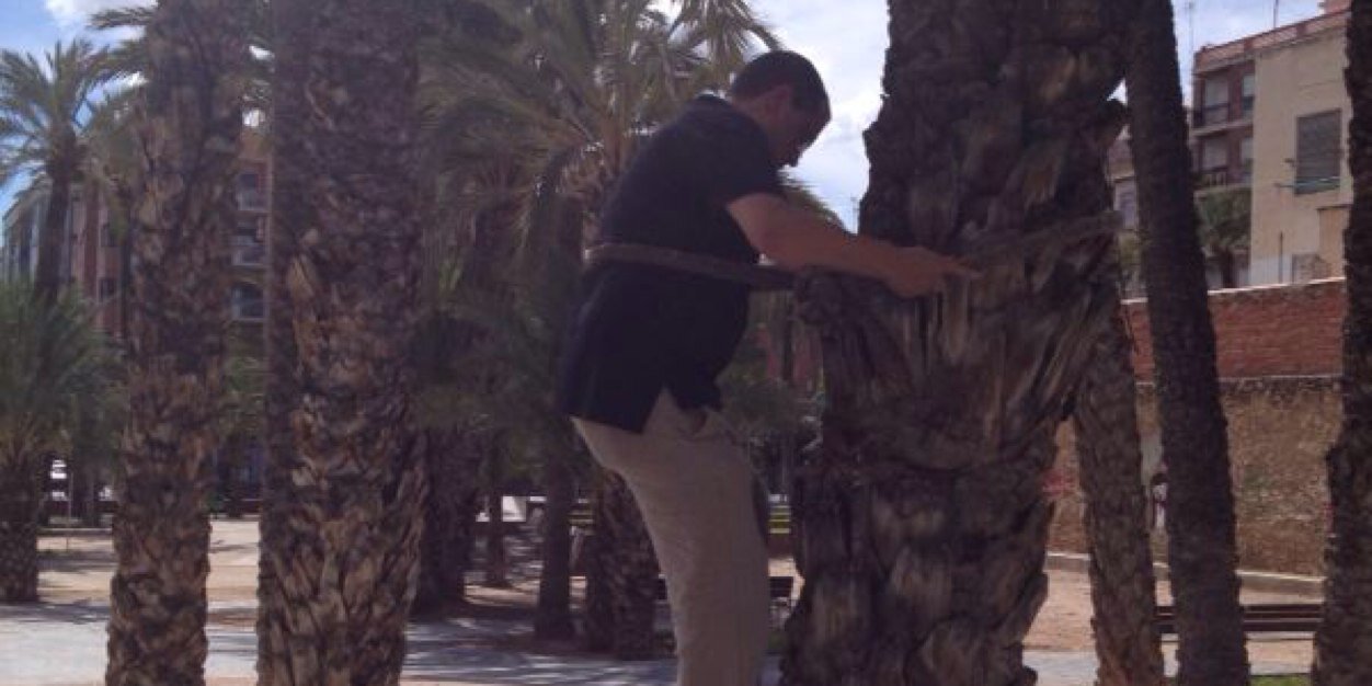 Fernando Borras banner