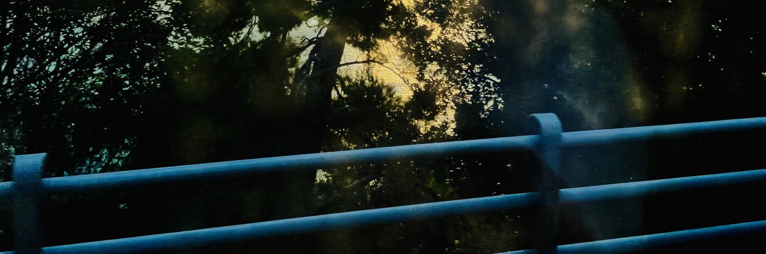 Leonardo Buffolo banner