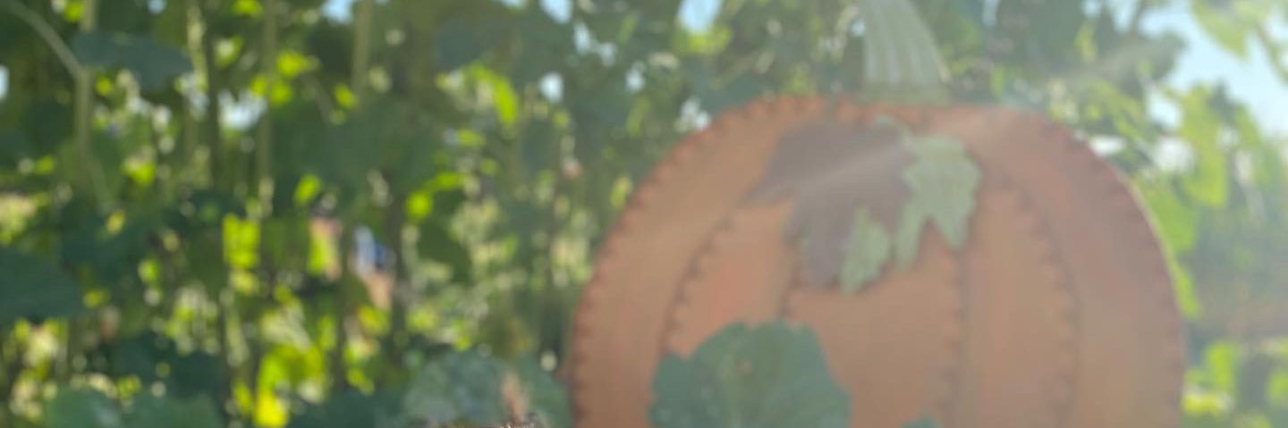 g_kessia's profile banner image