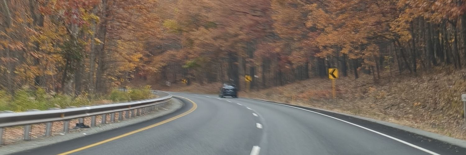 BZipori's profile banner image