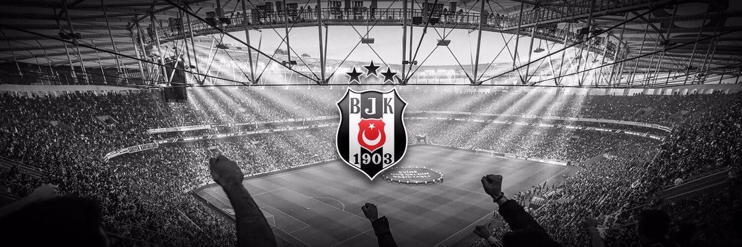 aysunflz's profile banner image