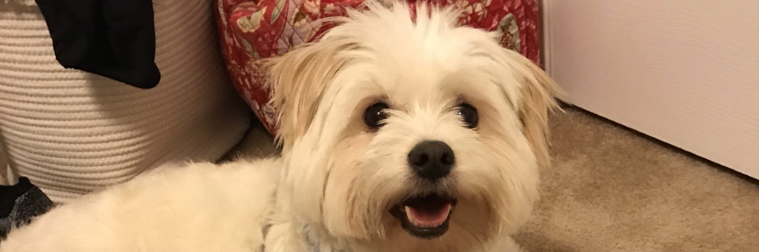 anntrenay's profile banner image