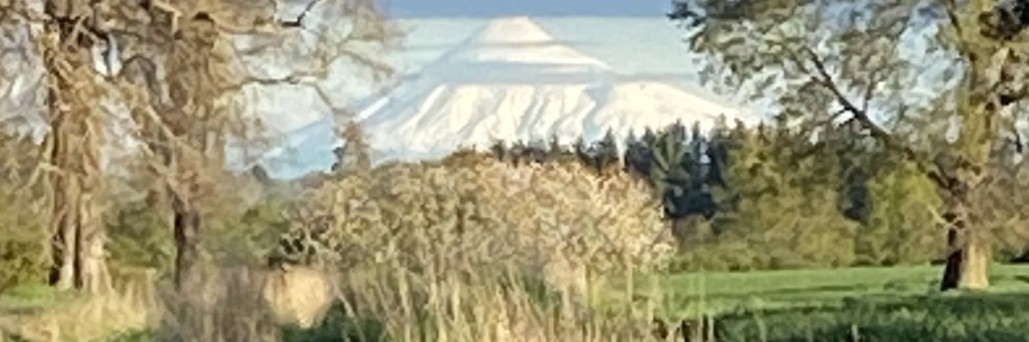 atacama82's profile banner image