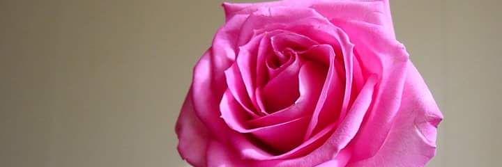 SAMAR_R2's profile banner image