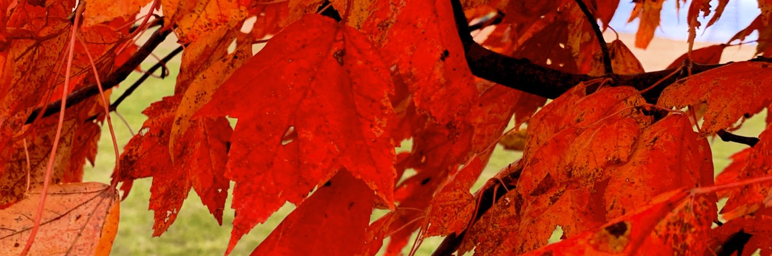 kerrylo_98's profile banner image