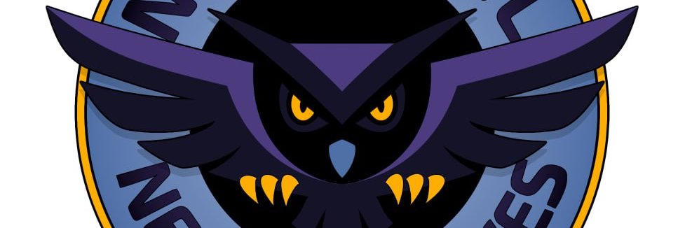 N𝐈Ğ𝕙丅 𝓸𝓦ｌ ⓝ€𝕎ş Archives 🐸 banner