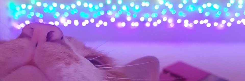 raaaaaaaaafaael's profile banner image