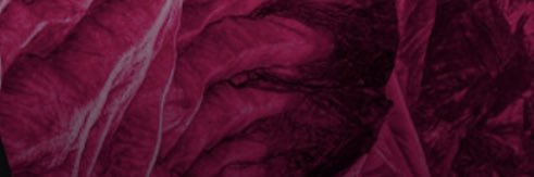 sjylia's profile banner image