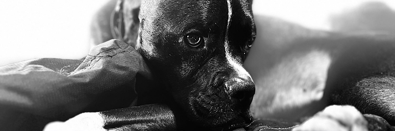 angerkillerk's profile banner image