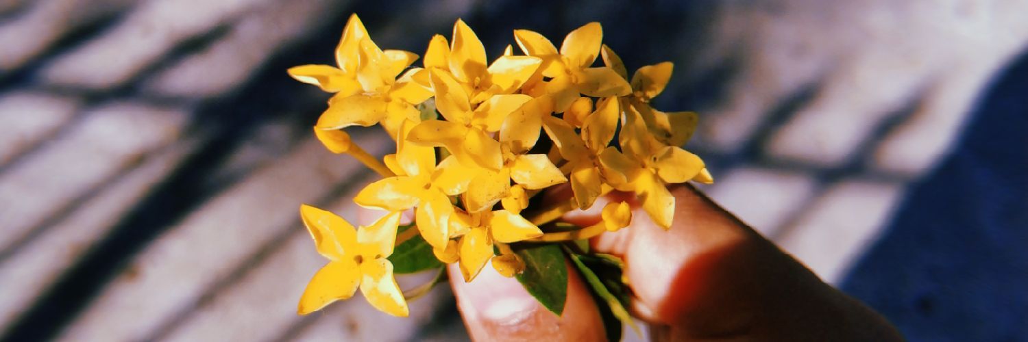 MorenoPolyana's profile banner image