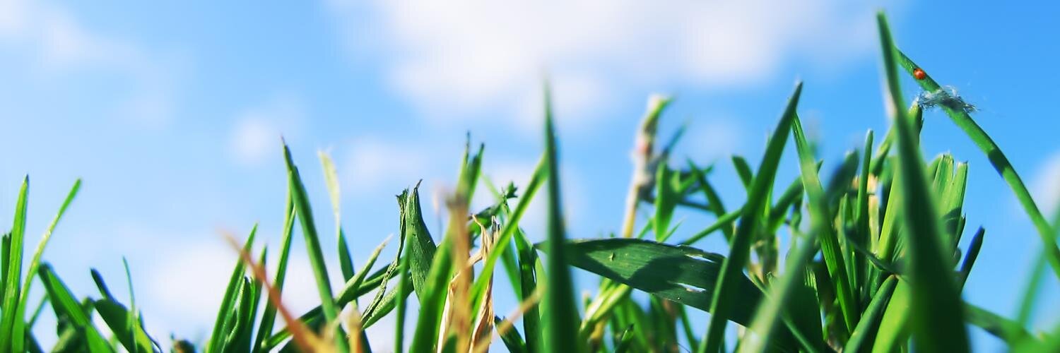 Mark Gibson 🇮🇪 banner