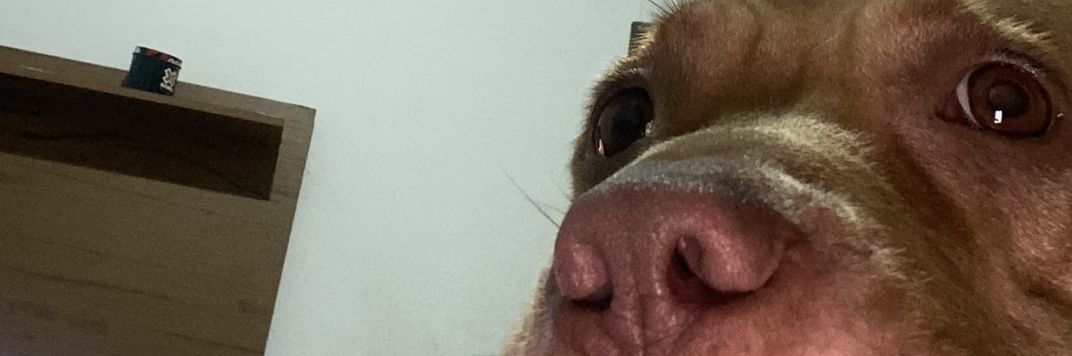 _eummaria_'s profile banner image