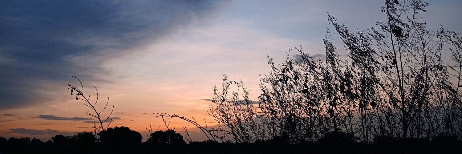 Sirida19's profile banner image