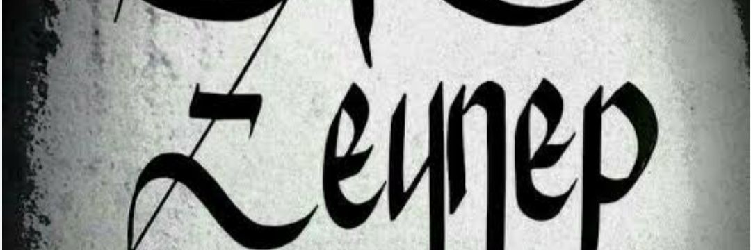 engur_zeynep's profile banner image