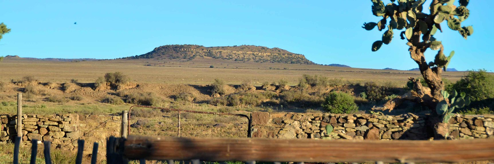 nicovanblerk's profile banner image