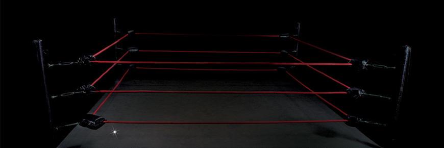 PolishBoxer's profile banner image