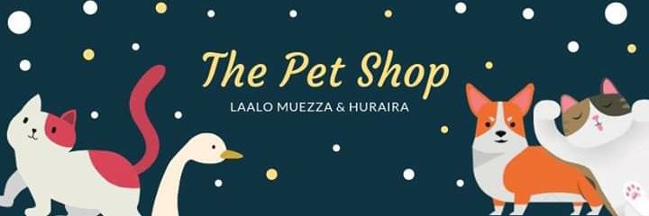 laalomuezza's profile banner image