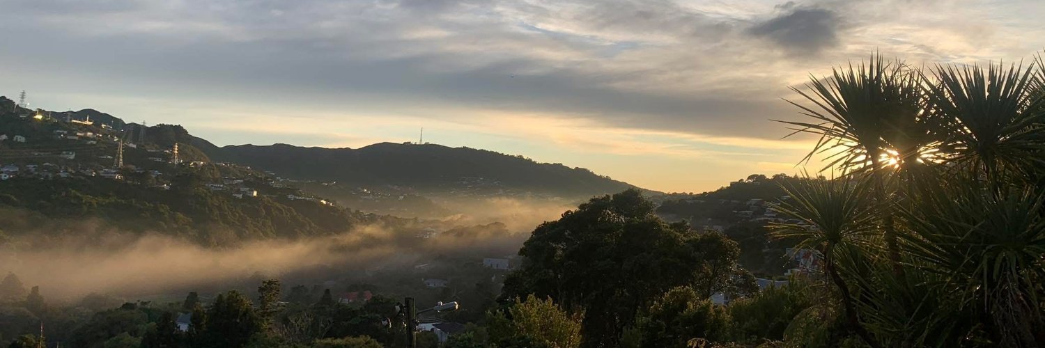 SarahPeacock's profile banner image