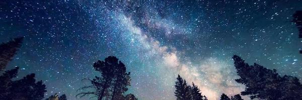 _blank_paper_ Profile Banner