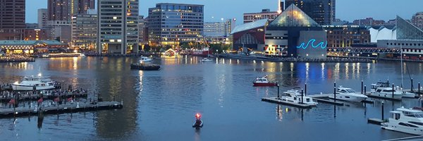 KaiJacksonFox45 Profile Banner