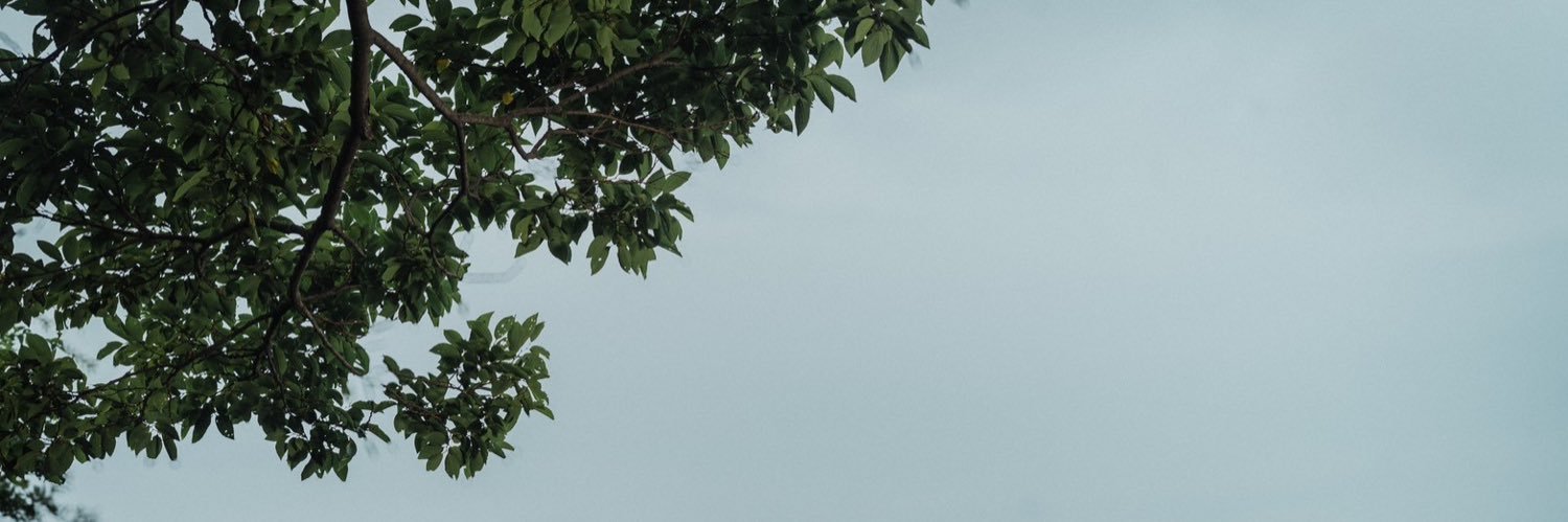 Yuga_0315's profile banner image