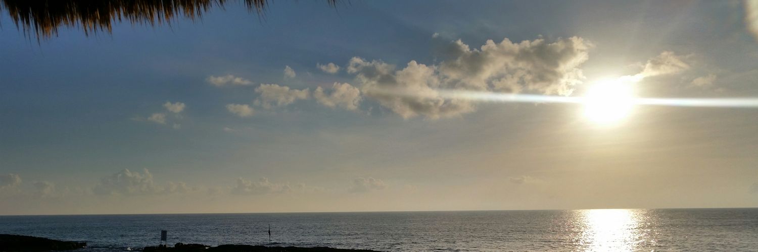 adyipanema's profile banner image