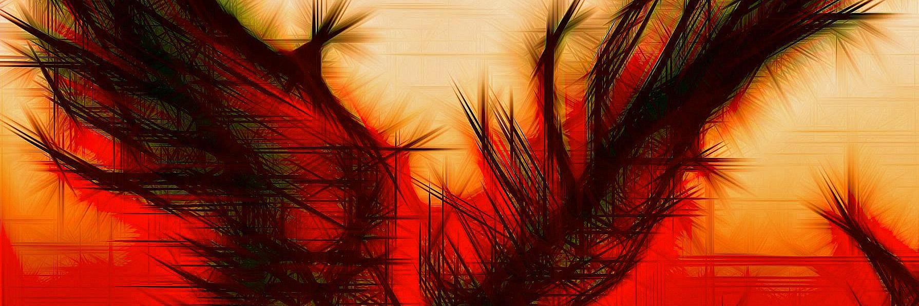 peronaiight's profile banner image