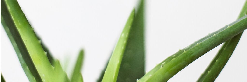 marilenis__'s profile banner image