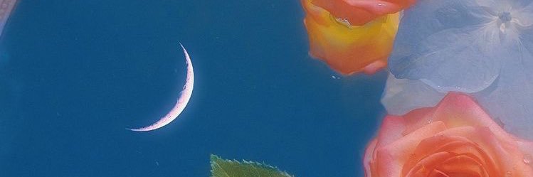 marigxo's profile banner image