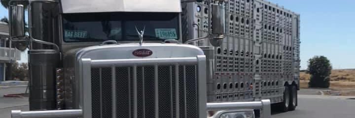 mattstephens86's profile banner image