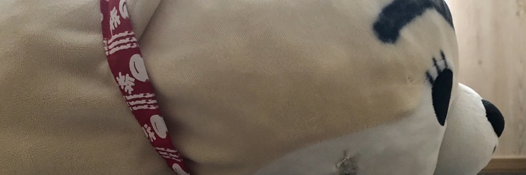 bee888_bee's profile banner image