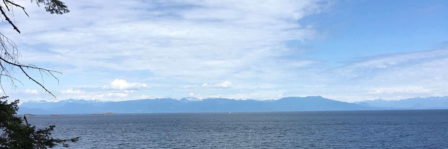 thetinymarie's profile banner image