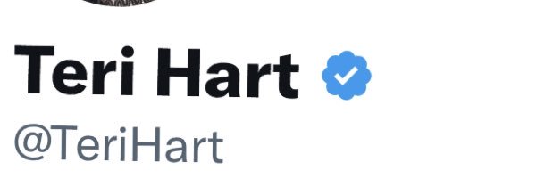 TeriHart Profile Banner