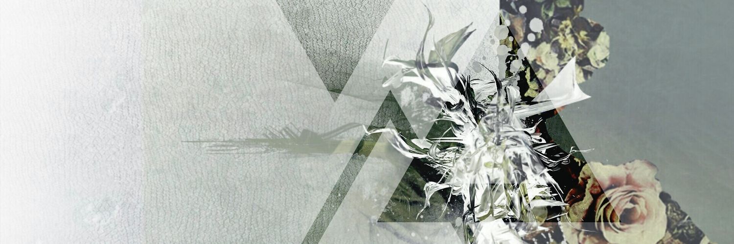 alphaandecho's profile banner image