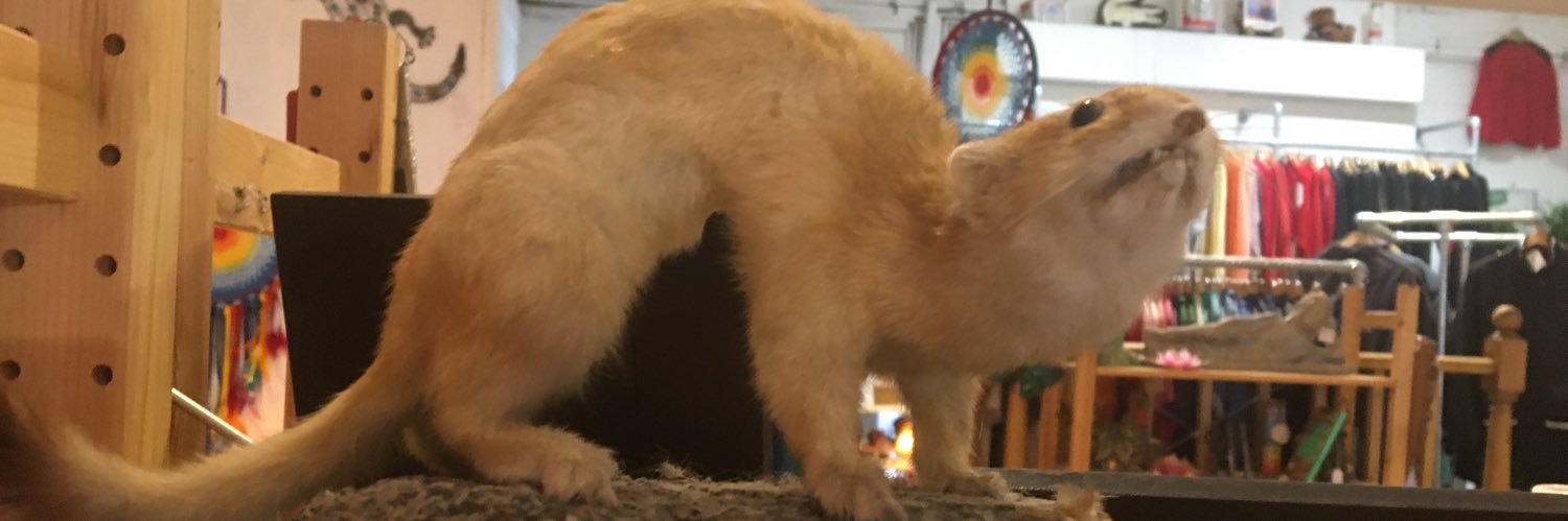 BumWithLegs's profile banner image