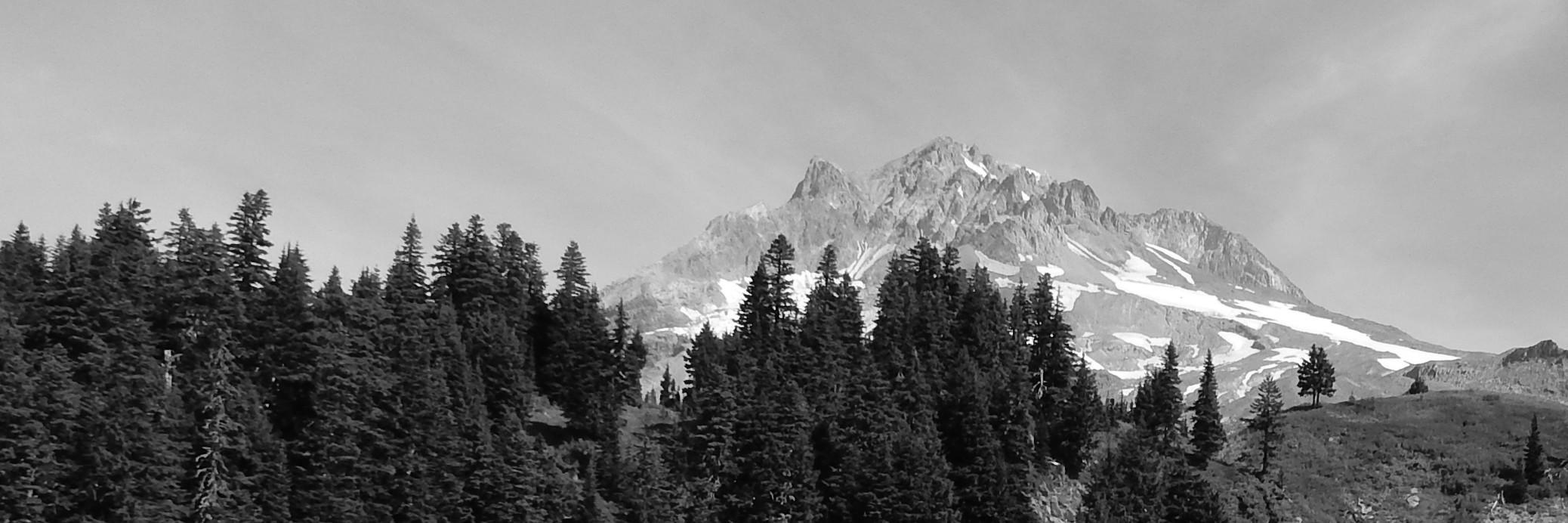 TheFirst40Miles's profile banner image