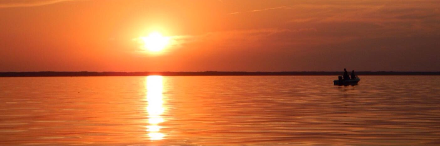 SharonDeschamps's profile banner image